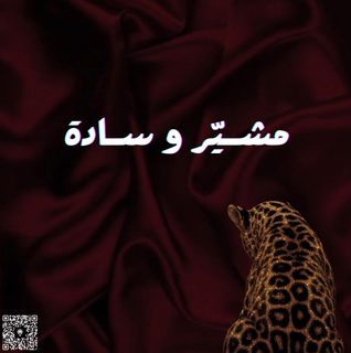 مشيّر و سادة